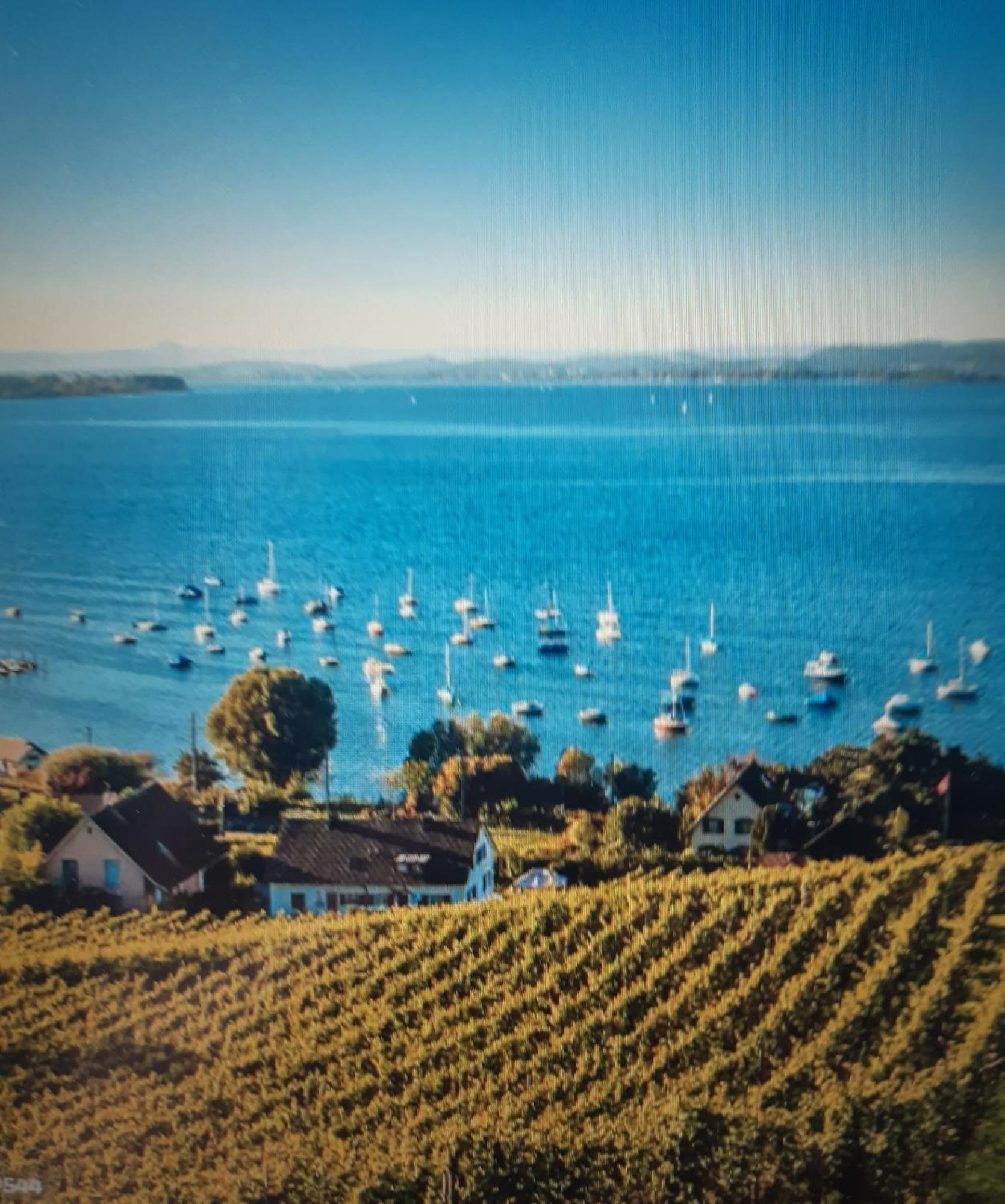 Ferienzentrum Bodensee Oberteuringen Buitenkant foto
